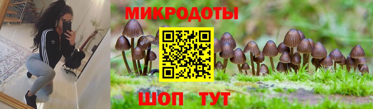 как найти наркотики  Псилоцибиновые грибы ЛСД  Россия  Вход с VPN  Псилоцибиновые грибы Magic Shrooms 